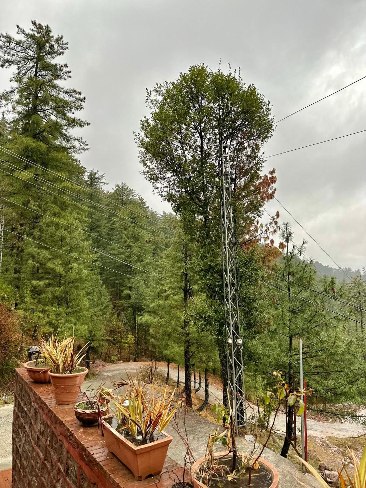 Sarah'S Lodge Murree Esterno foto